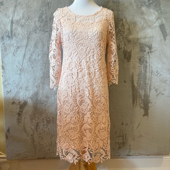 Romantic Rosette Coquette Lace Embroidered Elegant Pink Dress Sz 8 - Picture 1 of 12